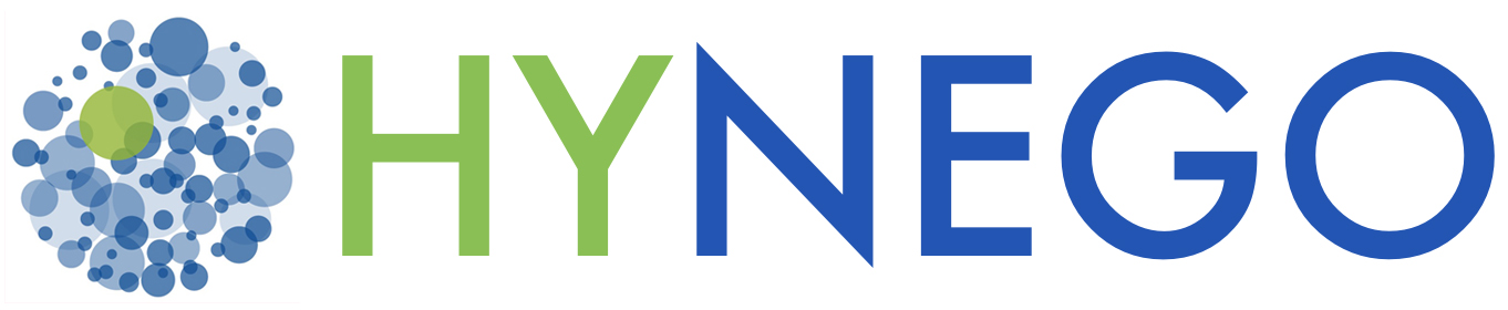 Hynego